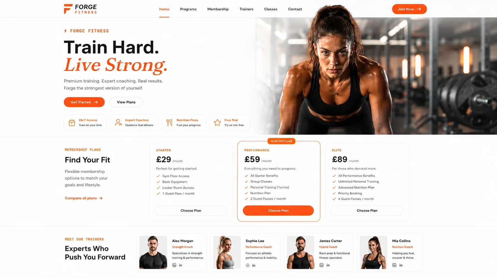 Gym website by TechQilo